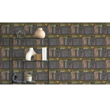 Vliesová tapeta s motivem knihovny a starožitných knih, před ní kovový regál s různými dekorativními předměty.