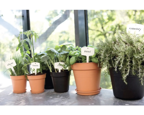 Bylinky a zeleninové rostliny v květináčích s jmenovkami