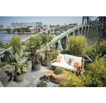 Terasa se zahradním nábytkem, rostlinami a výhledem na most a město