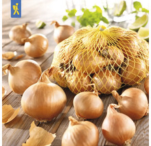 Cibule v síti na stole