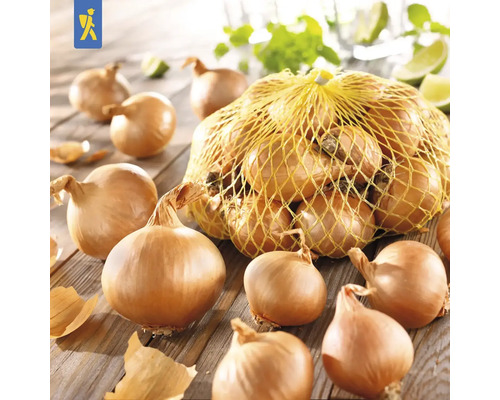 Cibule v síti na stole