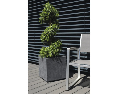 Okrasná rostlina v květináči vedle židle venku.