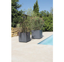 Dva šedé květináče s rostlinami vedle bazénu