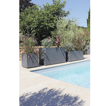 Tři šedé květináče různých velikostí stojí na okraji bazénu a jsou osázeny rostlinami.