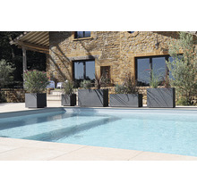 Řada květináčů různých velikostí vedle bazénu v zahradě.