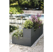 Květináč s různými rostlinami venku.