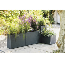 Kovové květináče s různými rostlinami venku