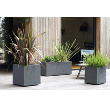 Tři šedé betonové květináče na terase s různými rostlinami