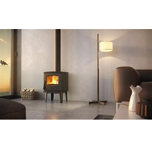 Krbová kamna s košem na dřevo a stojací lampou v obývacím pokoji