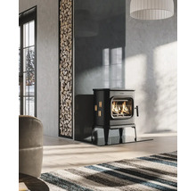 Obývací pokoj s kamny, skladem dřeva a kobercem