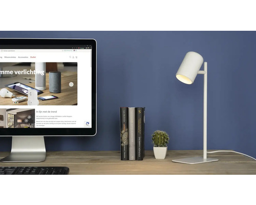 Stolní scéna s obrazovkou počítače, knihami, kaktusem a stolní lampou