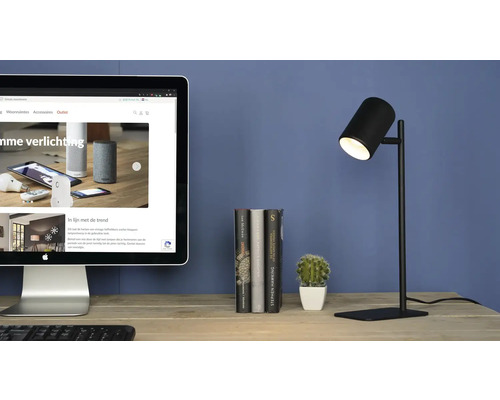 Psací stůl s počítačem, knihami, kaktusem a černou lampou