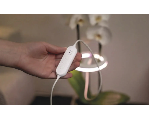 Ruka drží rostlinnou lampu s ovládáním a nastavením času před orchidejí.