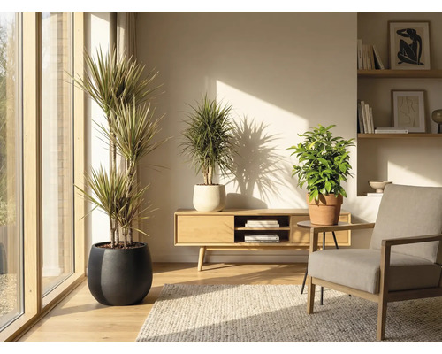 Obývací pokoj s pokojovými rostlinami v květináčích, dřevěným nábytkem a kobercem