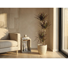 Obývací pokoj s dracénou v žebrovaném květináči vedle křesla a odkládacího stolku