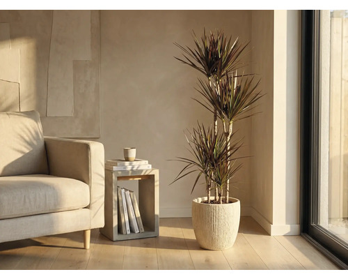 Obývací pokoj s dracénou v žebrovaném květináči vedle křesla a odkládacího stolku