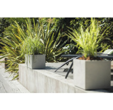 Dekorativní květináče s výsadbou v zahradě.