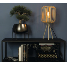 Dekorativní scéna se stolní lampou, umělou rostlinou, hromadou knih a psacím strojem na černé polici