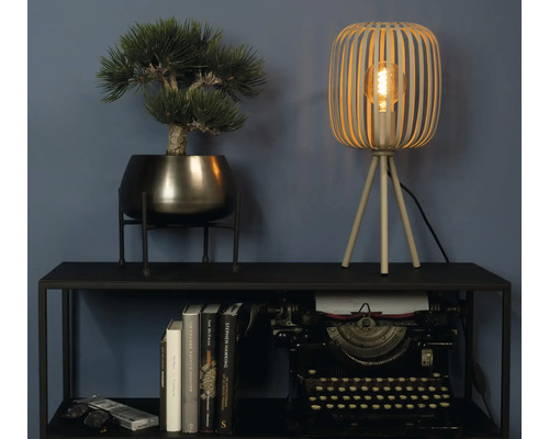 Dekorativní scéna se stolní lampou, umělou rostlinou, hromadou knih a psacím strojem na černé polici