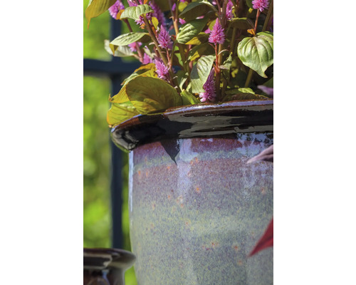 Detail rostliny v keramickém květináči.