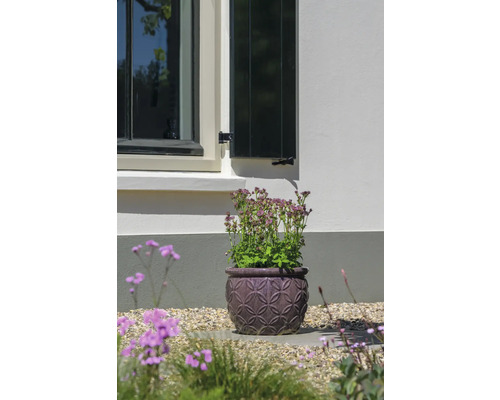 Květináč s kvetoucí rostlinou v zahradě