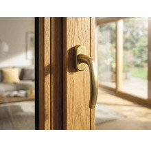 Detail dřevěných vchodových dveří s klikou