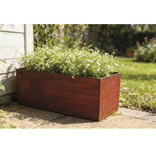 Obdélníkový kovový truhlík s bíle kvetoucími rostlinami na zahradě.