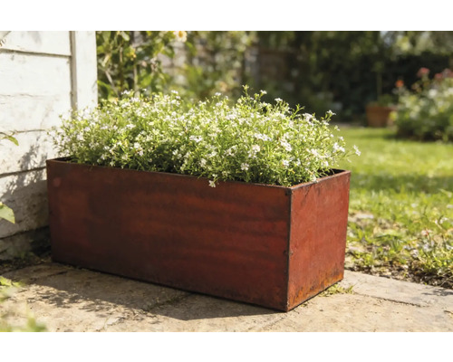 Obdélníkový kovový truhlík s bíle kvetoucími rostlinami na zahradě.