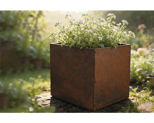 Kvadratický kovový květináč s květinami