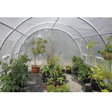 Skleník s různými rostlinami v květináčích a kontejnerech.