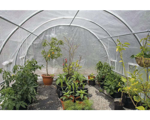 Skleník s různými rostlinami v květináčích a kontejnerech.