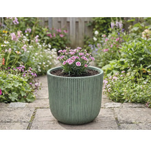 Květináč s karafiáty na zahradní cestě