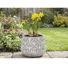 Narcisy v květináči s reliéfním vzorem na zahradě