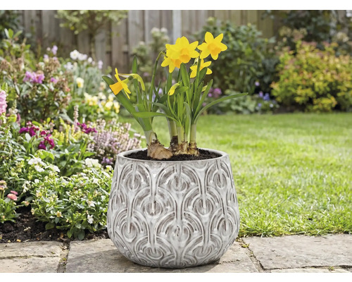 Narcisy v květináči s reliéfním vzorem na zahradě