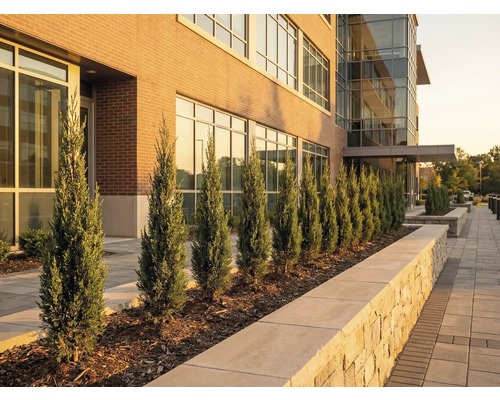 Vnější pohled na budovu s cypřiši podél chodníku