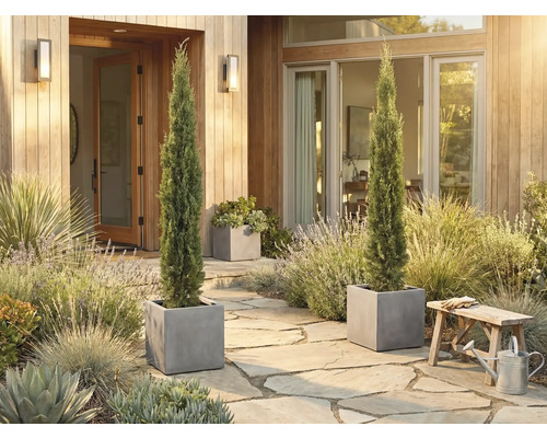 Dekorativní vstupní prostor se dvěma štíhlými cypřiši v hranatých květináčích