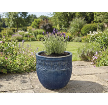 Levandule v ozdobném květináči na zahradě