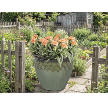 Ozdobný květináč s karafiáty na zahradě.