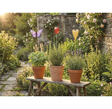 Tři bylinkové květináče s kolíčky ve tvaru motýla, tulipánu a srdce na dřevěné lavičce v zahradě.