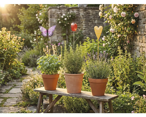 Tři bylinkové květináče s kolíčky ve tvaru motýla, tulipánu a srdce na dřevěné lavičce v zahradě.