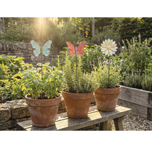 Tři terakotové květináče s bylinkami a okrasnými zahradními zápichy na dřevěné lavičce v zahradě.