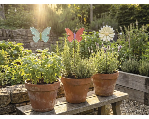 Tři terakotové květináče s bylinkami a okrasnými zahradními zápichy na dřevěné lavičce v zahradě.