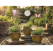 Tři květináče s bylinkami a ozdobné zahradní zápichy ve tvaru srdce, květiny a motýla v zahradě.