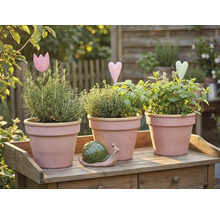 Tři květináče s bylinkami a dekoracemi na dřevěném stole