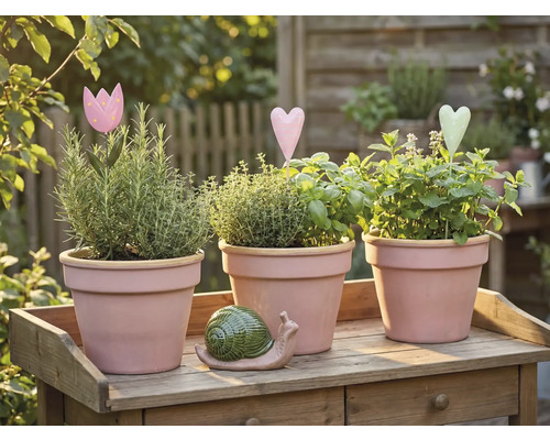 Tři květináče s bylinkami a dekoracemi na dřevěném stole