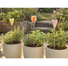 Tři květináče s bylinkami a zápichy do záhonu na zahradě