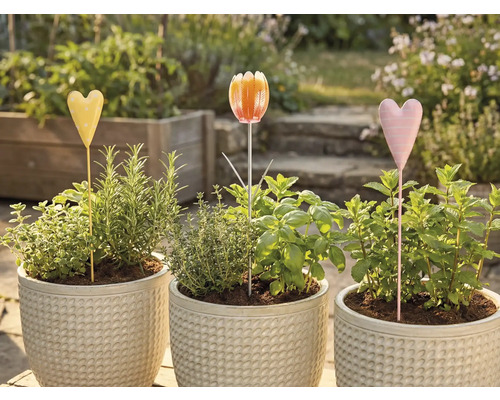 Tři květináče s bylinkami a zápichy do záhonu na zahradě