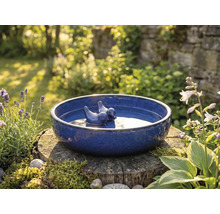 Modré pítko pro ptáky s ptačími figurkami na pařezu na zahradě