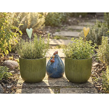 Zahradní zátiší s osázenými květináči, kolíky ve tvaru srdce a ozdobnou slepicí na kamenné cestě