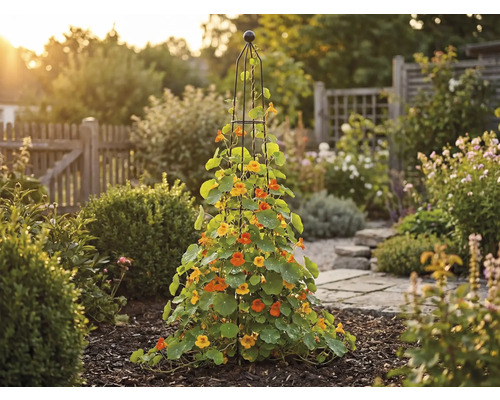 Pohled do zahrady s popínavými rostlinami na podpěře